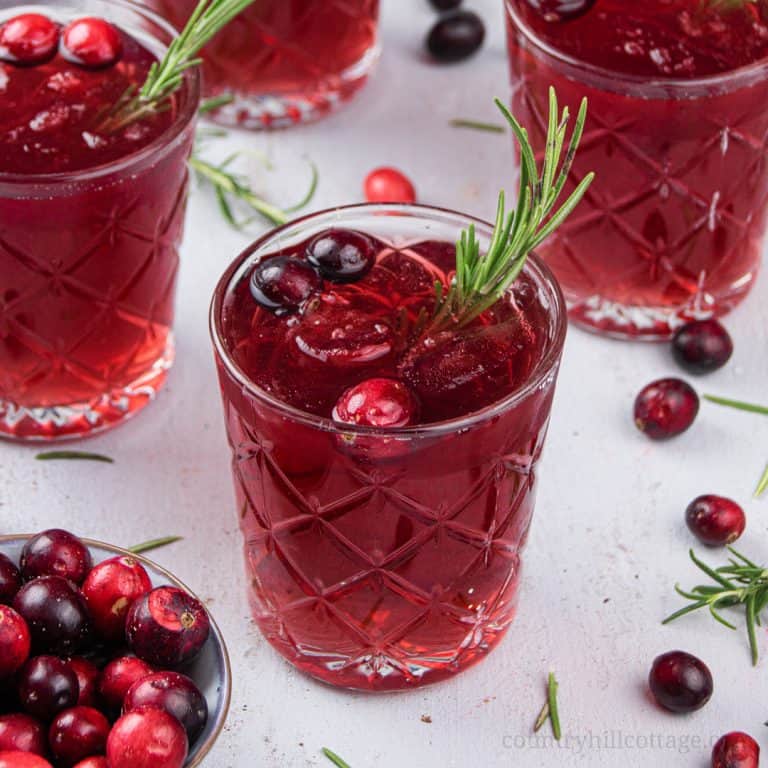 This easy, fruity cranberry mocktail with rosemary is a delicious, kid-friendly Christmas cocktail recipe that everyone can enjoy. Made with cranberries and naturally sweetened, the non alcoholic holiday cranberry cocktail fizz is a fun and refreshing vegan party drink recipe for a crowd. This pretty, simple, healthy Xmas drink recipe is paleo, looks fancy and great for make ahead. Perfect for fall, winter, Thanksgiving and New Year’s Eve. #mocktail #cranberrycocktail | countryhillcottage.com