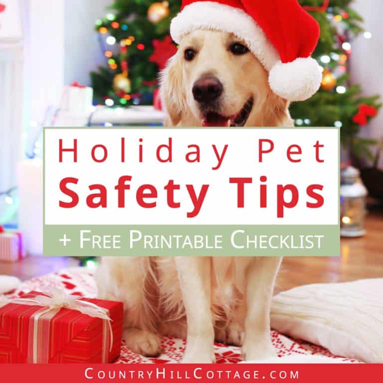 Learn 38 holiday pet safety tips! See how to keep pets safe during the holidays and get useful tips for how to pet-proof the Christmas tree and how to choose pet-safe holiday decorations. You’ll also learn what holiday plants are toxic for pets and what holiday foods can be dangerous for cats and dogs. This pet safety guide comes with a free printable checklist to help you plan a stress-free Christmas for you and your furry friends! #pets #petsafety #holidays #Christmas | countryhillcottage.com