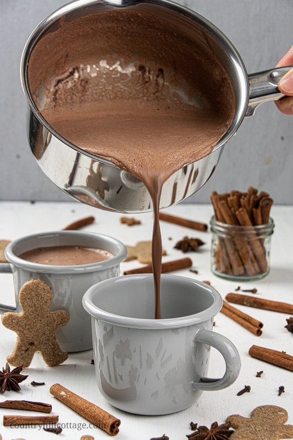An easy Christmas hot chocolate recipe! Learn how to make gingerbread hot chocolate in just 5 minutes with 5 ingredients. This homemade hot chocolate recipe is vegan and includes options for paleo hot chocolate, keto hot chocolate, and DIY boozy spiked hot chocolate. Comes with instructions for the slow cooker and crock pot. Great for kids, tastes yum with marshmallows and coconut whipped cream toppings. #hot chocolate #hotcocoa #gingerbread #Christmashotchocolate | countryhillcottage.com