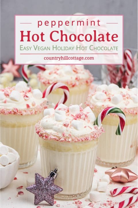 Peppermint White Hot Chocolate Vegan Recipe – Keto & Paleo Option