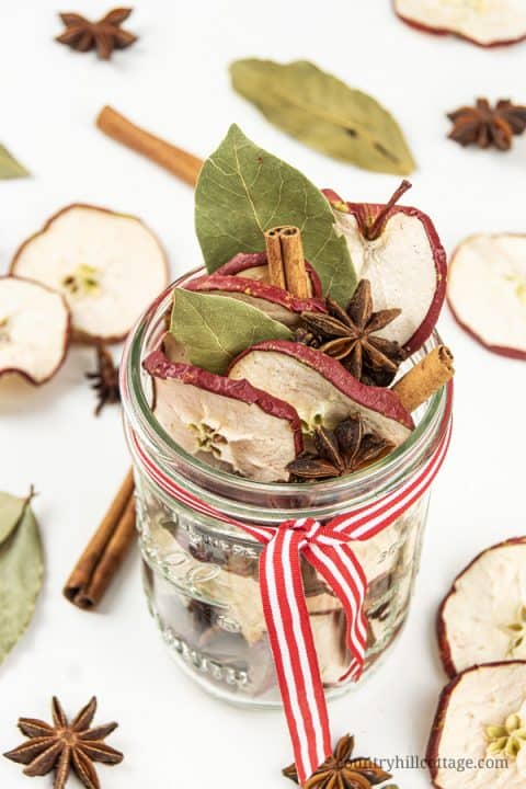 Stovetop Potpourri Gift Ideas – 6 Christmas Potpourri in a Jar Recipes