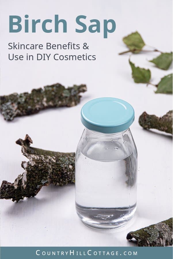 Skincare benefits of birch sap - Birch water boasts a number of health benefits. The sap contains over 15 amino acids, enzymes, minerals, and vitamins (mostly C and Bs). The liquid is high in antioxidants, which help to cells from free radicals and oxidative damage. The hydrating and antioxidant properties make birch sap an excellent ingredient for skincare products, hydration and rejuvenation. #skincare #greenbeauty #nauralskincare #antiaging | countryhillcottage.com