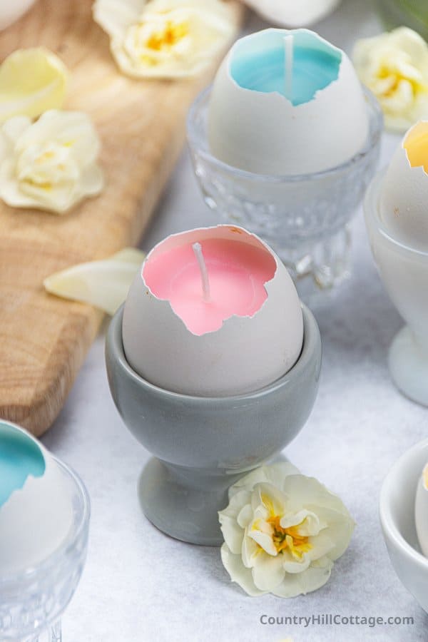 Egg shell candle in eggcup