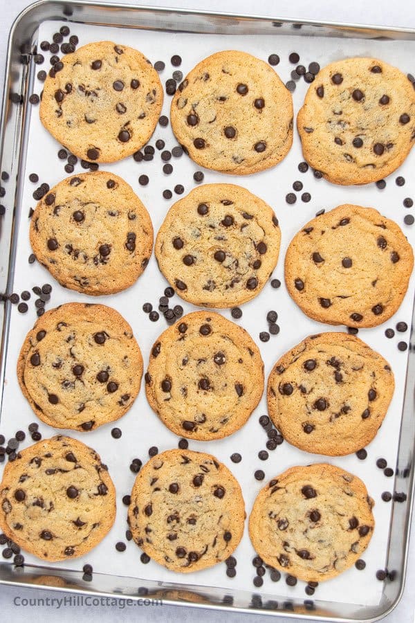 soft chocolate chip cookies without brown sugar