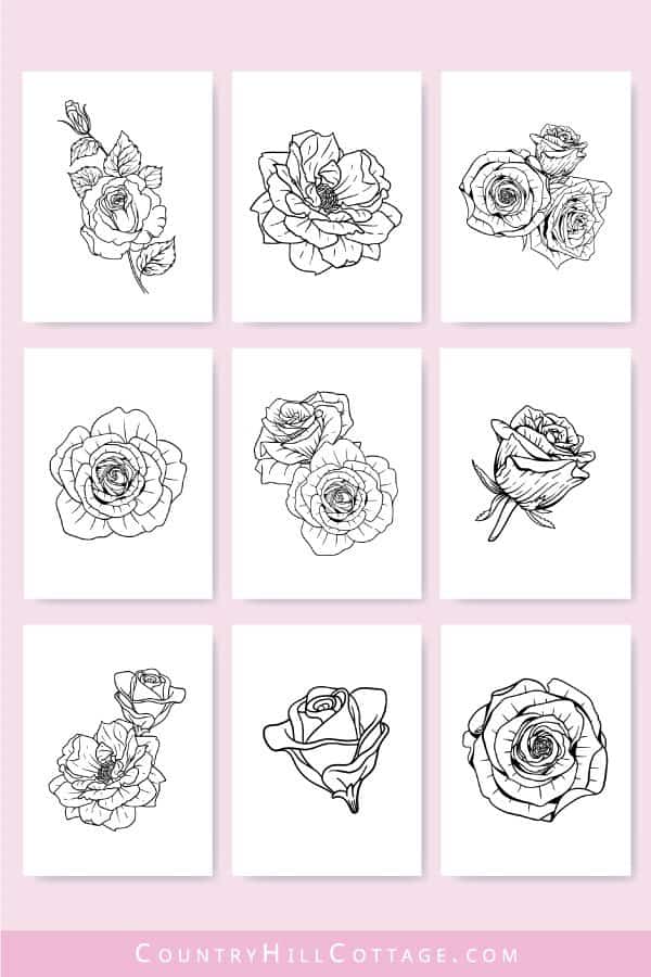 realistic rose coloring pages