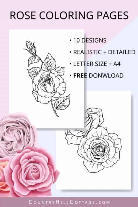 Free Printable Rose Coloring Pages {10 Realistic Designs for Adults}