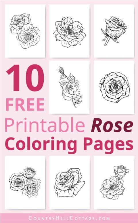 Free Printable Rose Coloring Pages {10 Realistic Designs for Adults}
