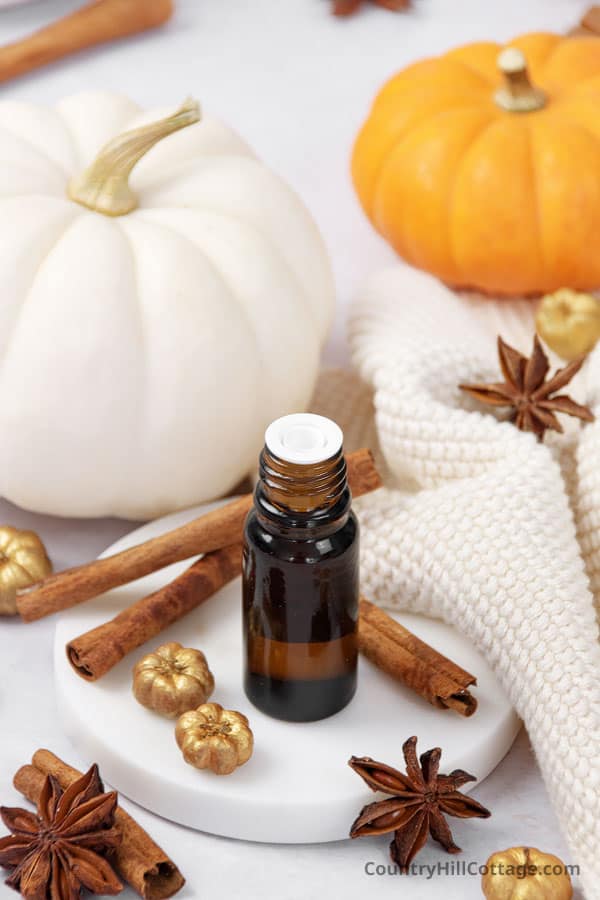 pumpkin spice diffuser blend