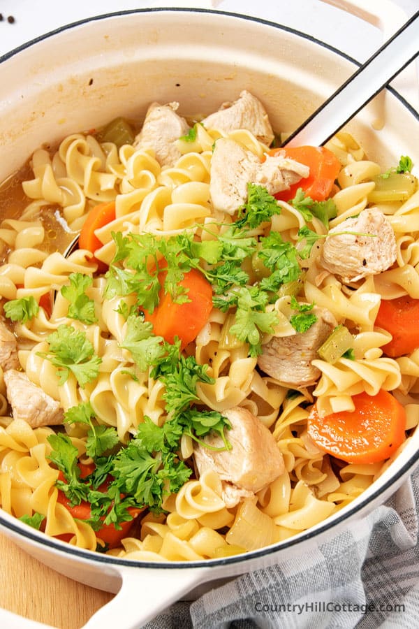 chunky soup with chicken