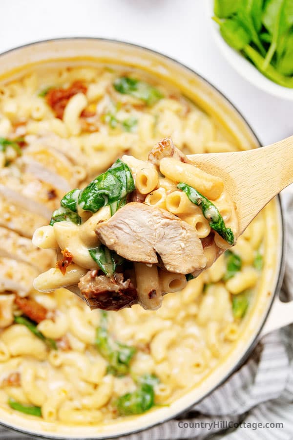 mac and cheese with chicken breast