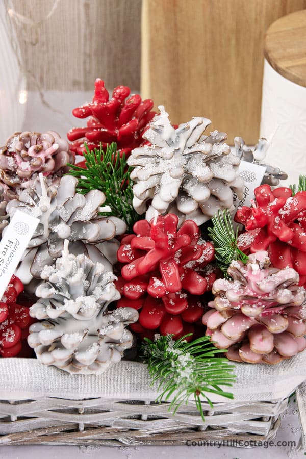 pine cone fire color changing
