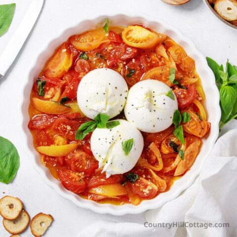 baked burrata with roasted tomatoes