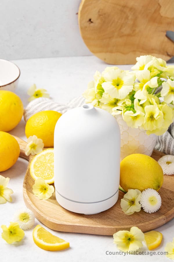 citrus fresh diffuser blend