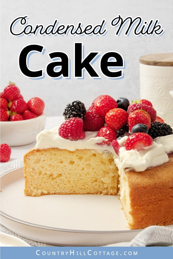 cake recipe with condensed milk