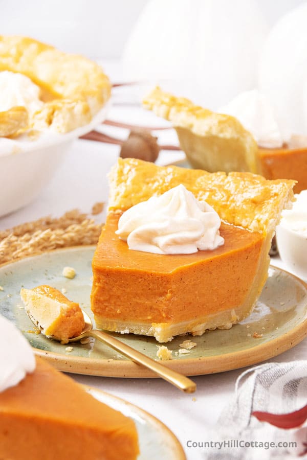 pumpkin pie using condensed milk