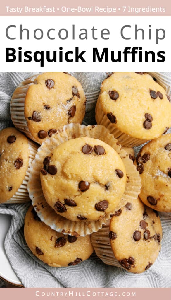 Bisquick Chocolate Chip Muffins