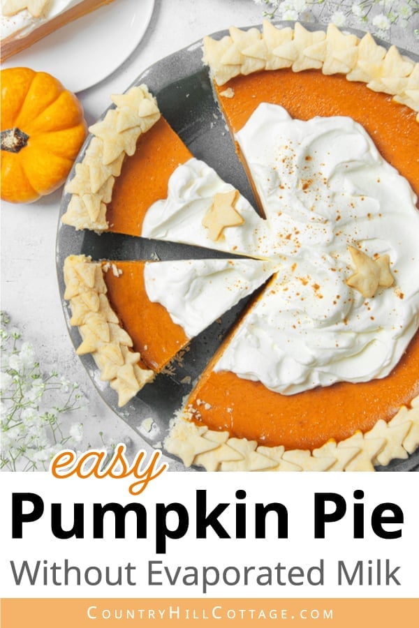 Pumpkin Pie Without Evaporated Milk And Condensed Milk pumpkin-pie-without-evaporated-milk-and-condensed-milk