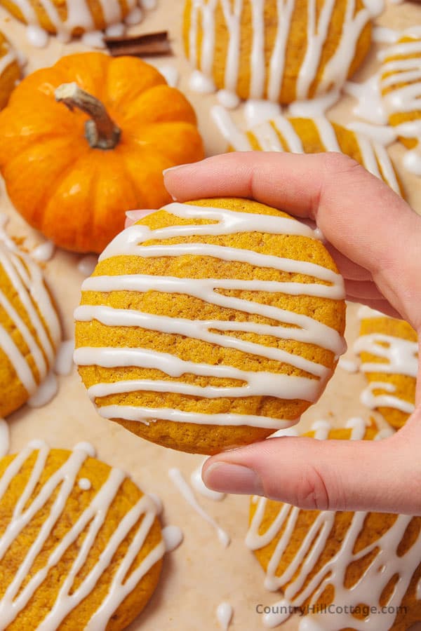 Libby's soft pumpkin cookies