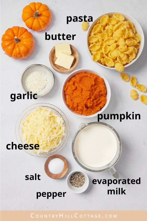 pumpkin mac and cheese ingredients
