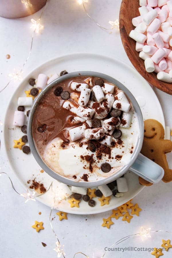 homemade hot chocolate with condensed milk