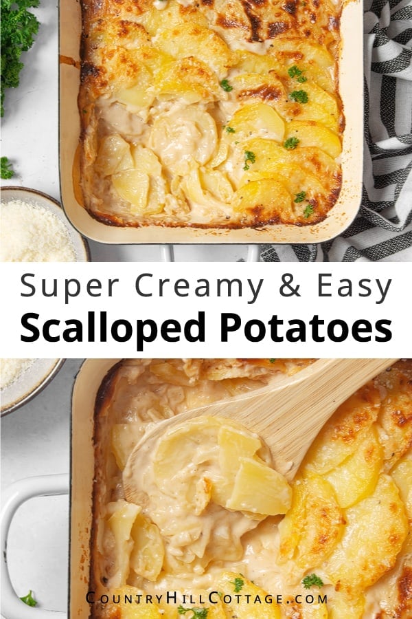 scalloped potato bake
