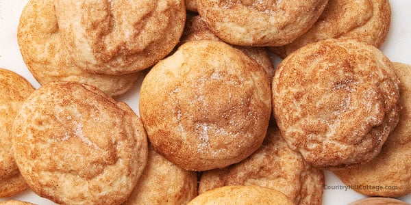 snickerdoodles recipe without cream of tartar