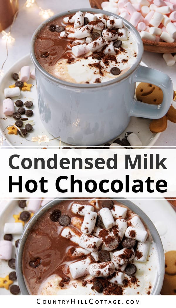 Condensed Milk Hot Chocolate