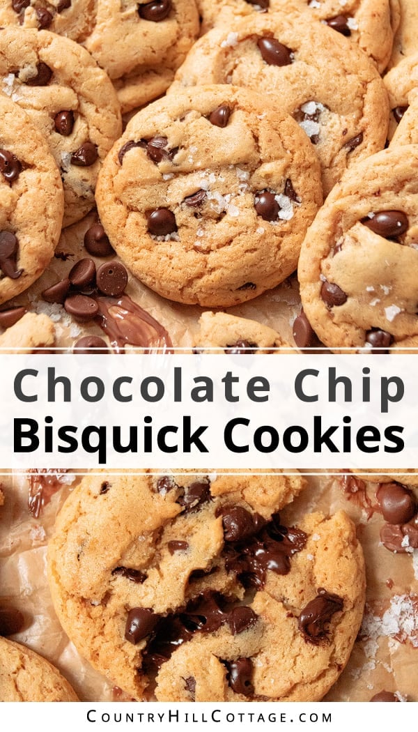 Easy Bisquick Chocolate Chip Cookies