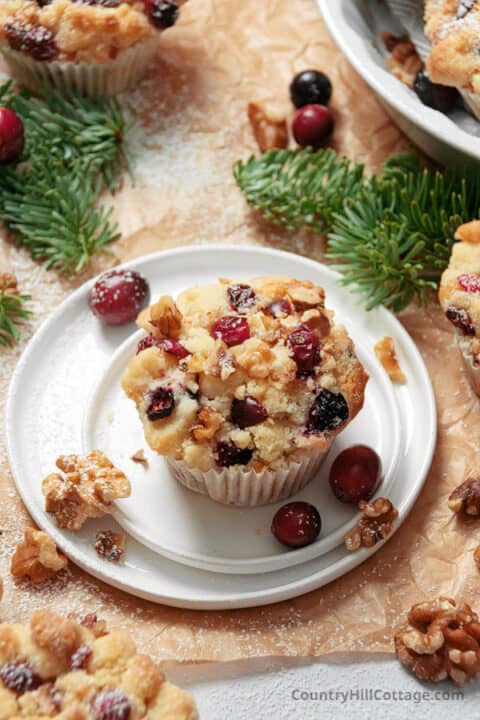 Ocean Spray Cranberry Muffins