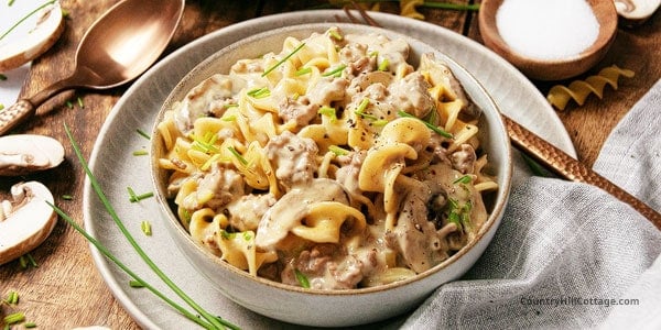 Velveeta beef stroganoff