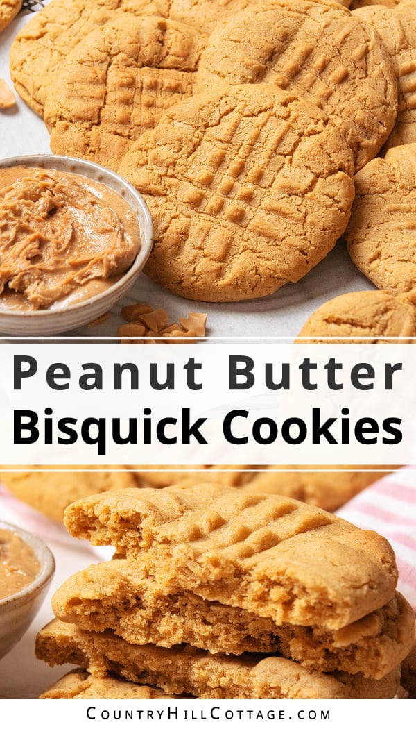 Bisquick Peanut Butter Cookies