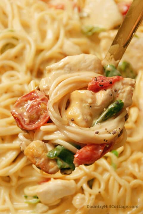 Velveeta Chicken Spaghetti velveeta-chicken-spaghetti
