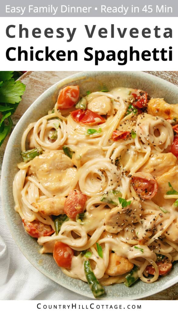velveeta-chicken-spaghetti