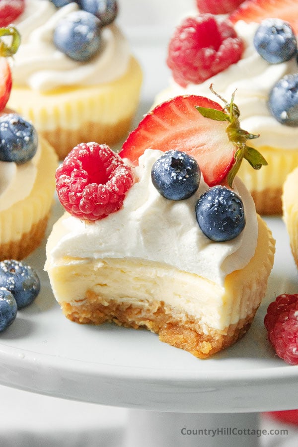 Philadelphia cream cheese mini cheesecake recipe