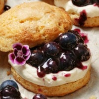 blueberry shortcakes