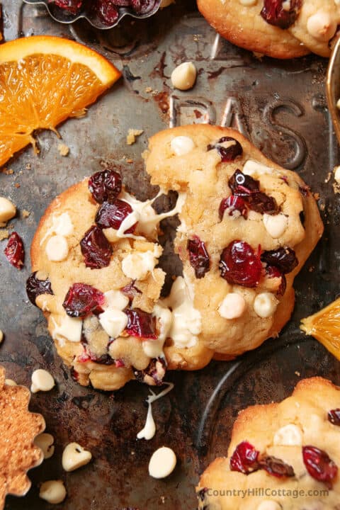 Dried Cranberry Cookies