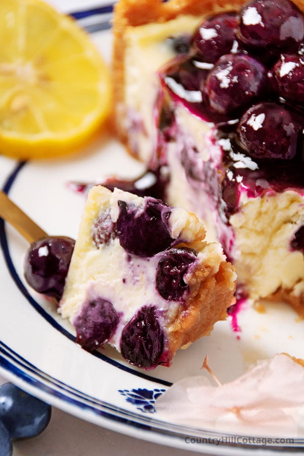 baked blueberry cheesecake