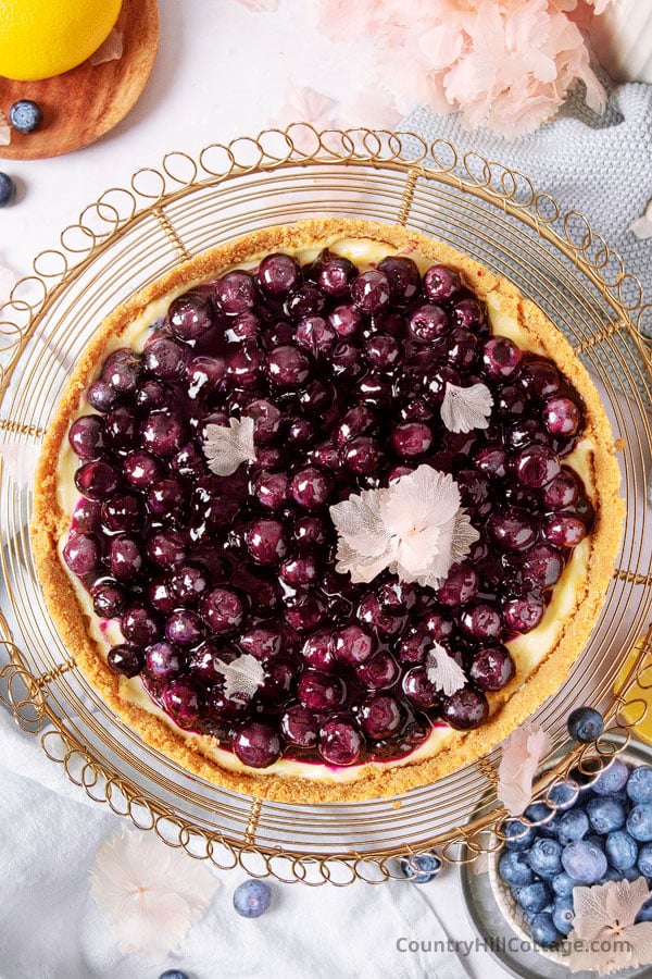 best blueberry cheesecake recipe