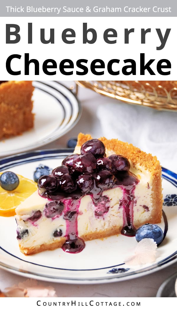 Philadelphia Blueberry Cheesecake Recipe