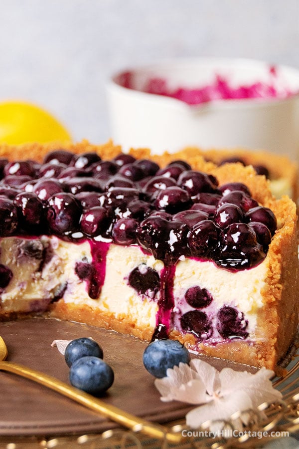 easy blueberry cheesecake recipe