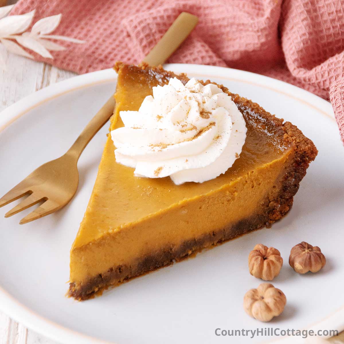 Alton Brown Pumpkin Pie with Gingersnap Crust