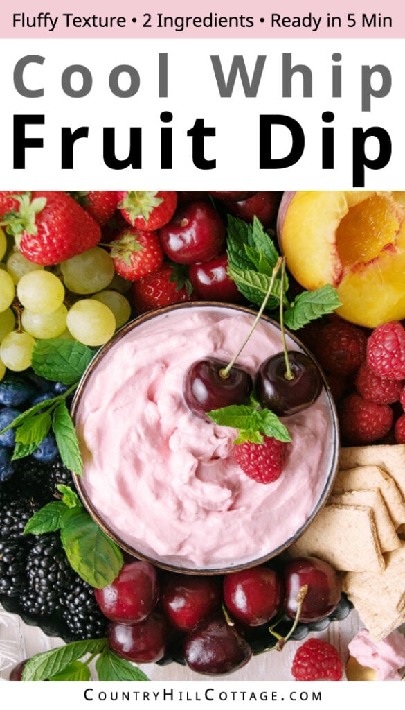 Cool Whip Fruit Dip {Easy + 2 Ingredients}