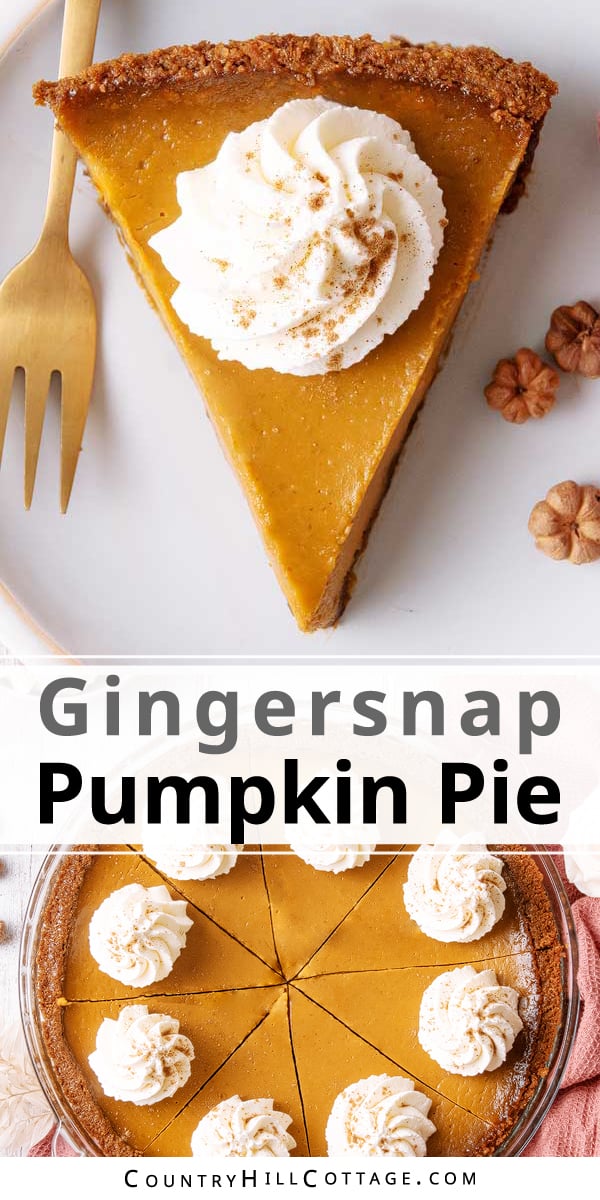Alton Brown Pumpkin Pie with Gingersnap Crust