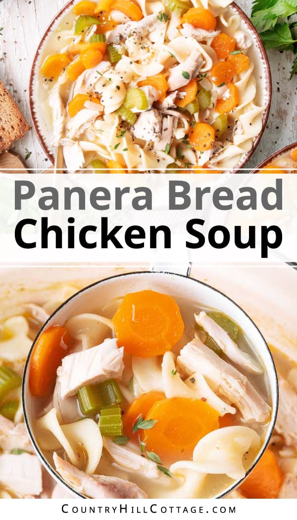 Panera Chicken Noodle Soup Recipe