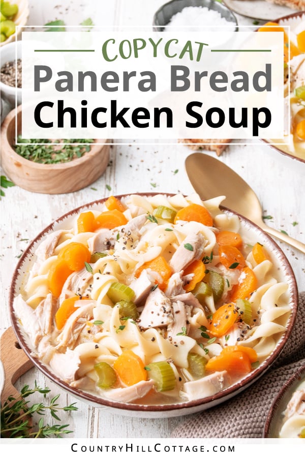 Panera Chicken Noodle Soup Recipe