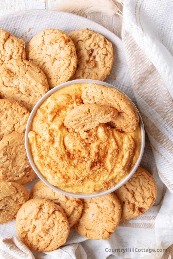 top shot of pumpkin dip recipe surrounded by gingersnap cookies.
