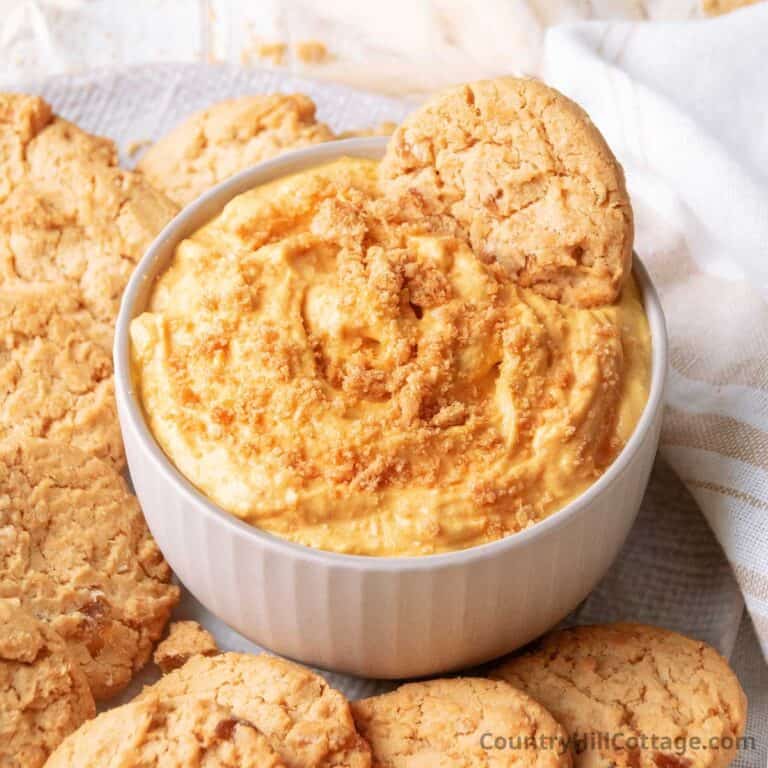 pumpkin dip for ginger snaps.