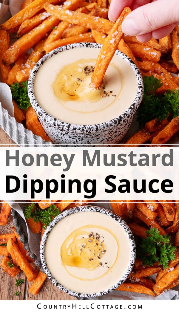 Honey Dipping Sauce for Sweet Potato Fries