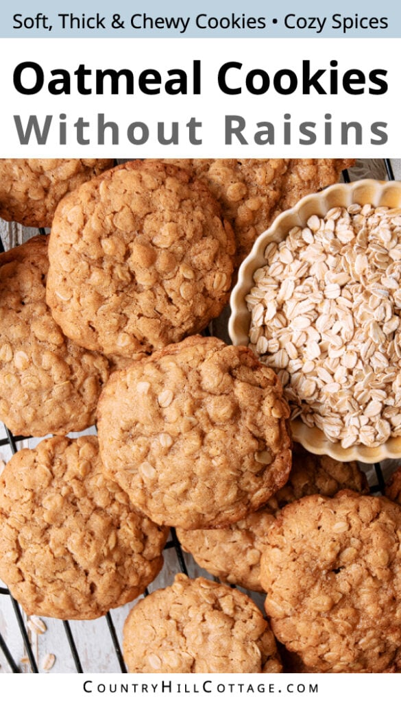 Oatmeal Cookies Without Raisins {Easy Recipe}