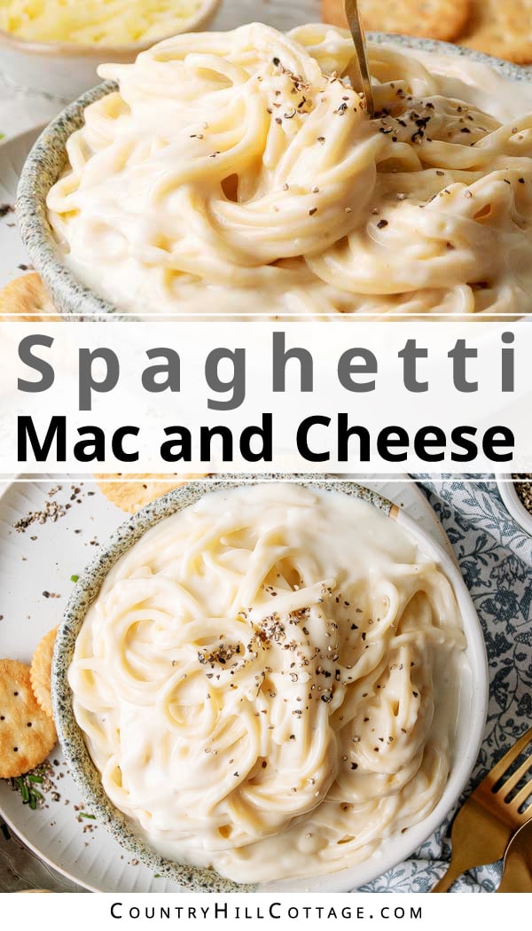 Spaghetti Mac and Cheese {Easy 1 Pot Recipe}